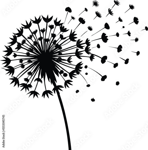 Silhouette of a Dandelion Blowing
