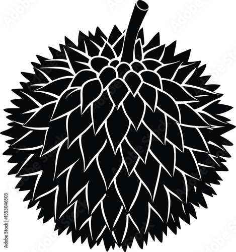 Silhouette of a Durian