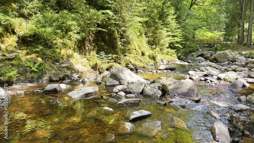 Creek with bridge in the background