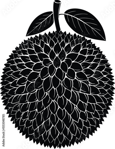 Silhouette of a Jackfruit