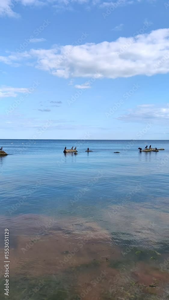 Water surface with rocks sticking out of water and cormorants sitting on rocks. Water surface with rocks sticking out of water and cormorants sitting on rocks.