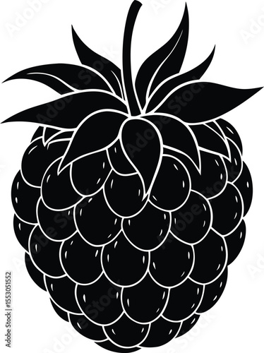 Silhouette of a Raspberry