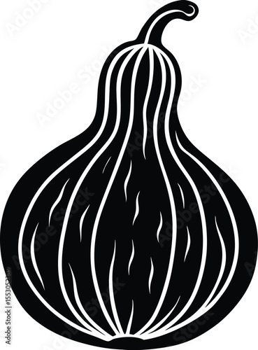 Silhouette of a Squash