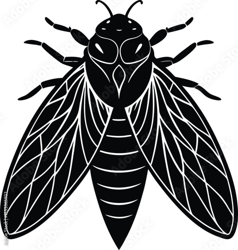 Silhouette of a Cicada