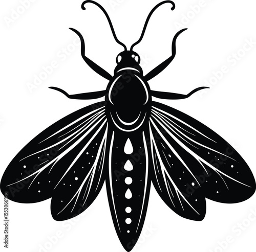Silhouette of a Firefly