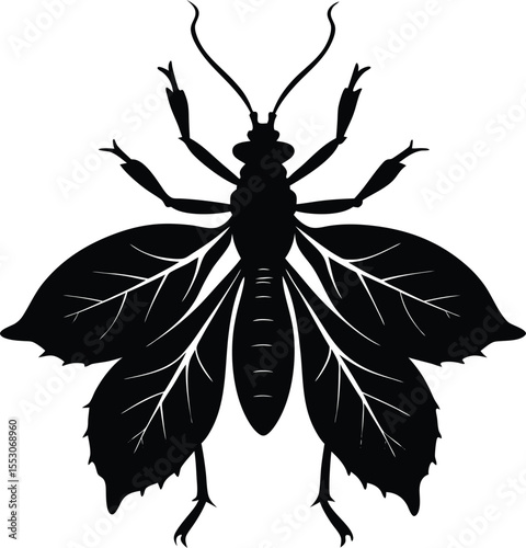 Silhouette of a Leaf Insect