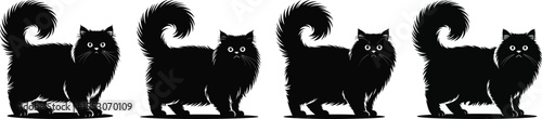 Long hair cat silhouette vector set, collection of fluffy cat standing icon in black isolated style for design
