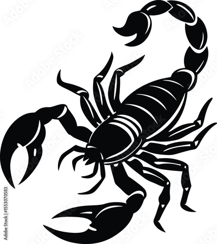 Silhouette of a Scorpion