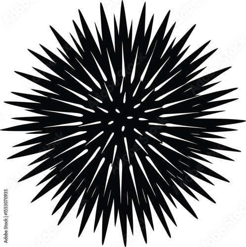Silhouette of a Sea Urchin