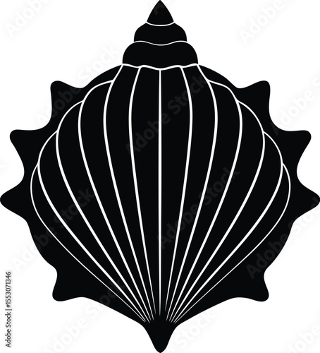 Silhouette of a Seashell