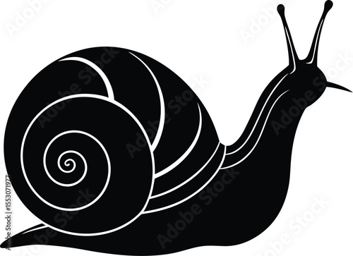 Silhouette of a Snail