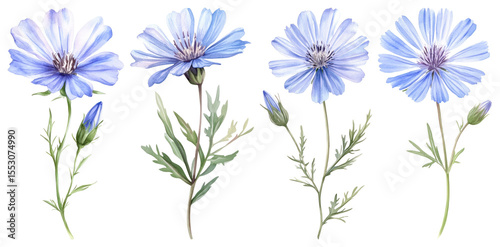 PNG Delicate watercolor blue flowers, element set on transparent background