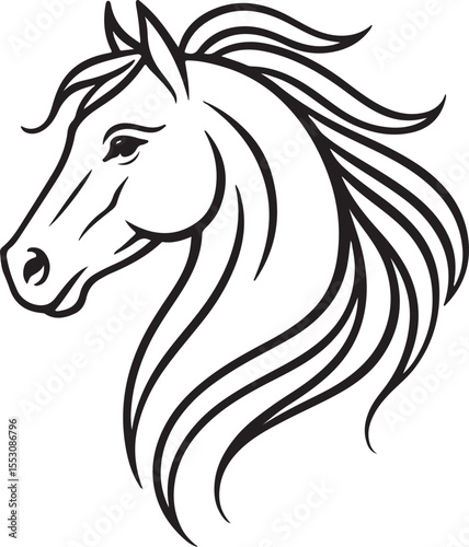 Elegant Horse Head Line Drawing