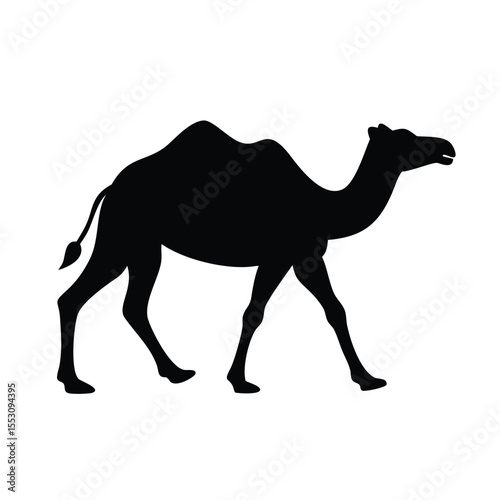Simple Black Silhouette of a Walking Camel on White Background.