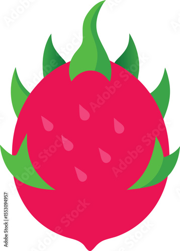 Dragon fruit vector art illustration