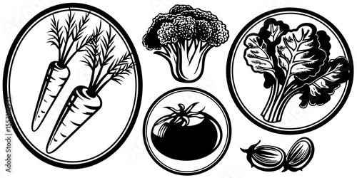 Illustration of assorted vegetables including carrots broccoli tomato and leafy greens in black and white style