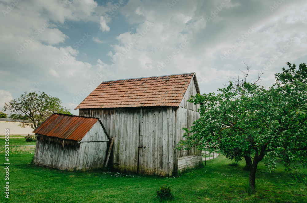 Obraz premium Rustic rural house in spring nature, green meadow and old barn beside