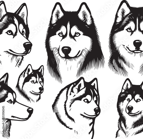 Siberian Husky Dog Vector Illustration in Black and White	