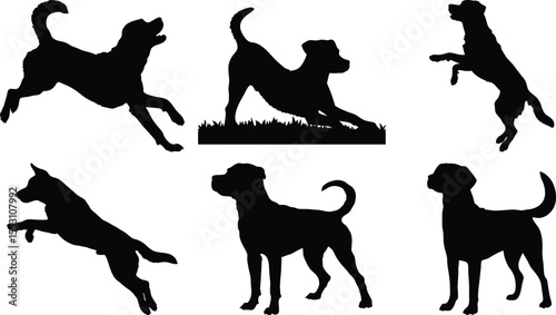 Energetic Dog Poses