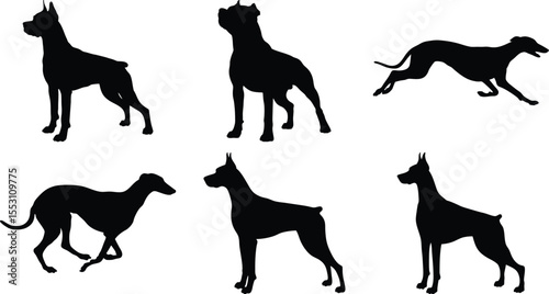 Dog with Playful Gesture
