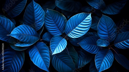 Wallpaper Mural Vibrant Blue Tropical Leaves Background Nature Torontodigital.ca