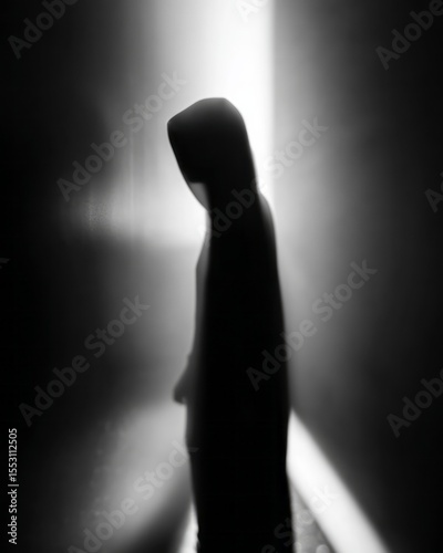 Silhouette of a person in a hooded garment.