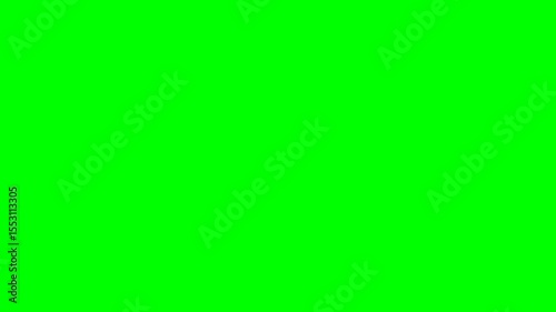 Countdown Timer 10 to 0 with Green Screen – Red Text with White Outline – Full HD 1080p