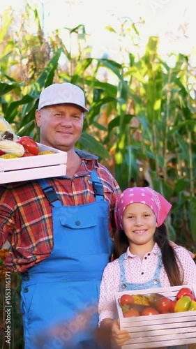 Portrait of smiling farmers family , dad and daughter holding wooden boxes with different fresh vegetables, harvest on farm, sunny summer day. background of cornfield,