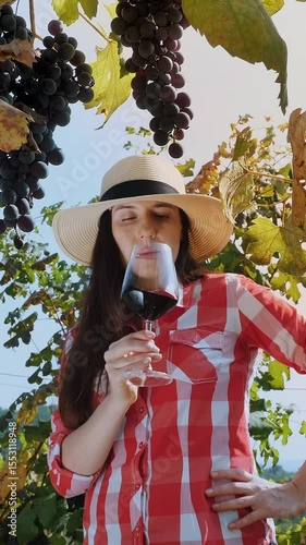 Sommelier. Female farmer or winemaker holds a glass of red wine in her hands, enjoys wine smell and taste, in the middle of a vineyard. large bunches of ripe black grapes on the vine