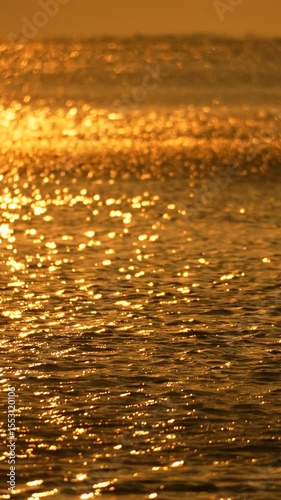 Sunset Bird Water: Solitary bird silhouetted against golden sunset reflecting on calm water surface.