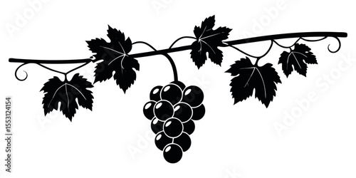 Grapevine with Hanging Grapes Bunch Silhouette Vector Illustration on White Background