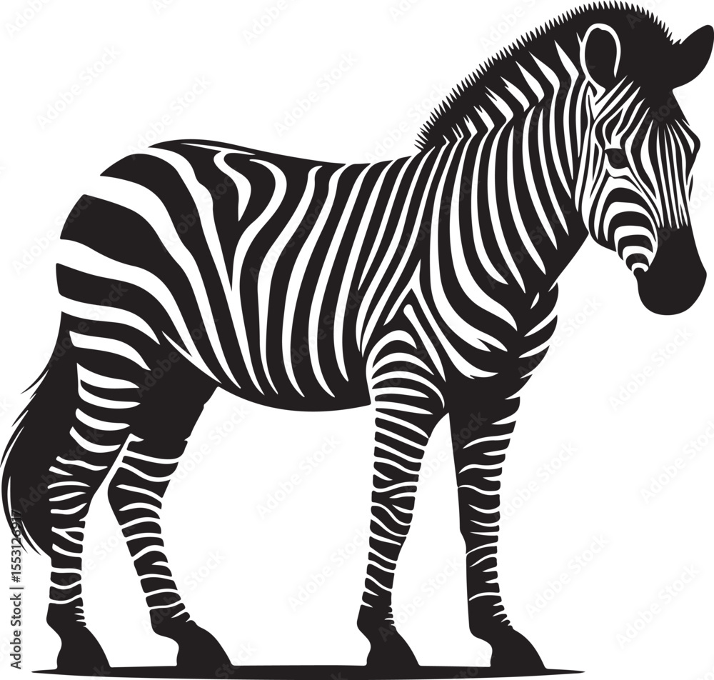 Obraz premium A silhouette zebra vector