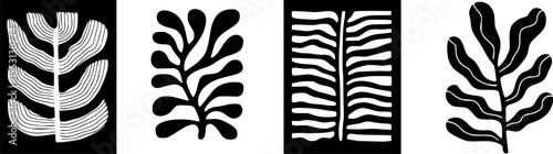 Abstract botanical elements in black and white minimalist art style