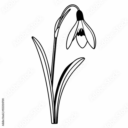 Black and White Illustration of a Snowdrop Flower