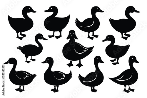 Black duck silhouettes stand in various poses, creating an avian wildlife pattern over white
