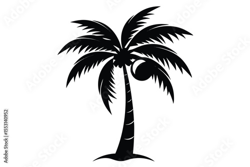 A simple black silhouette shows a tropical palm tree with coconuts with transparent background