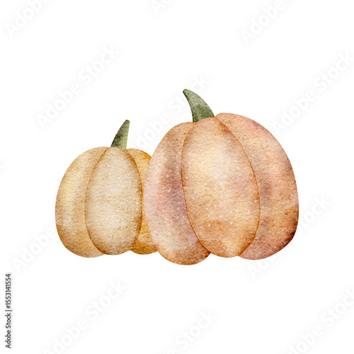 Watercolor illustration harvest pumpkin yellow, orange. Autumn composition vegetables hand drawn pastel beige color on isolated background for packaging design label postcards holidays clothes dishes