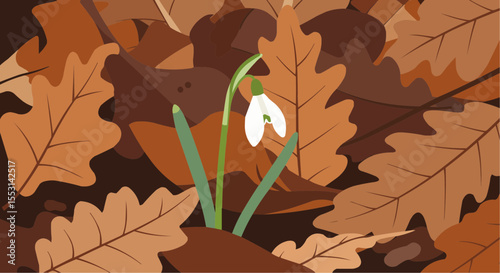 Snowdrop flower blooming among brown autumn leaves  
