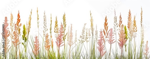 A diverse array of grasses in soft pastel colors forms a striking border, creating a vibrant yet subtle decorative element for various projects