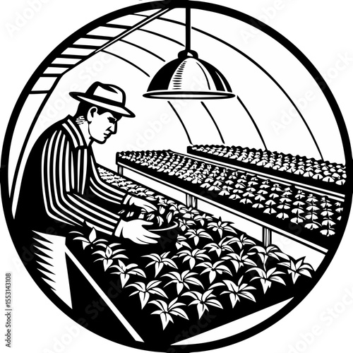 Greenhouse Gardening Illustration Guide