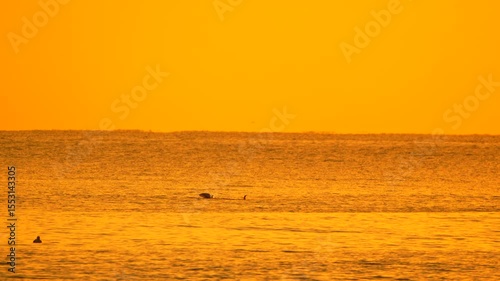 Sunset Ocean Beach: Golden Hour Seascape, Coastal Scene, Evening Tranquility
