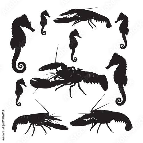 Silhouette illustration featuring seahorses and lobsters marine wildlife underwater creatures black silhouettes