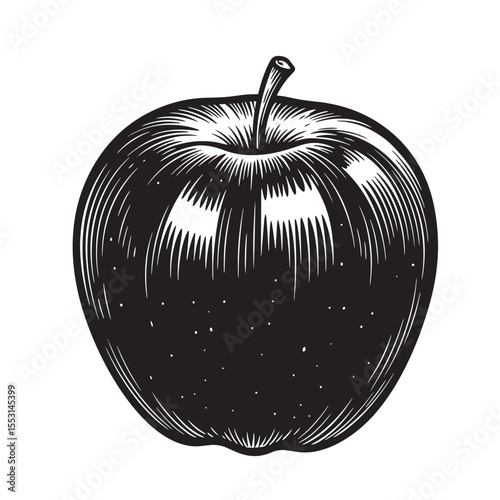 A beautiful hand drawn vintage art silhouette of a perfectly rendered black apple isolated on white background