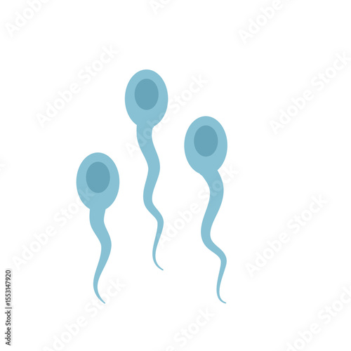 Sperma cells 