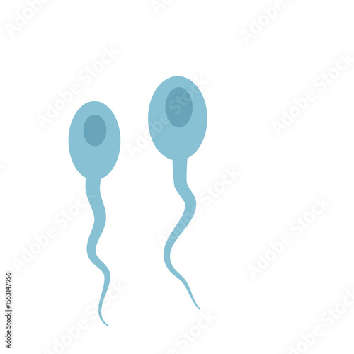 Sperma cells