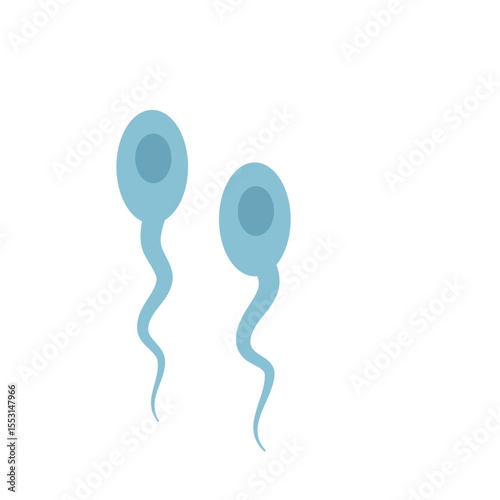 Sperma cells 