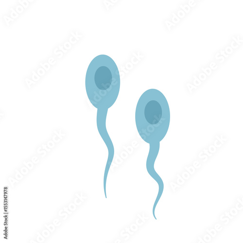 Sperma cells 