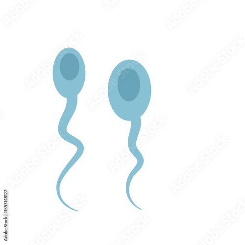 Sperma cells