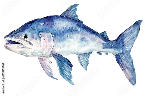 Sea watercolor fish illustration on white background. Fresh and raw seafood.