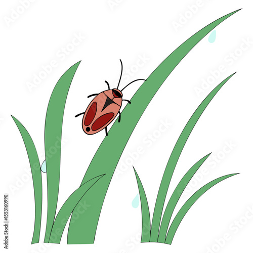 Chinch bug crawling on green grass with dew drops, concept of garden pests  